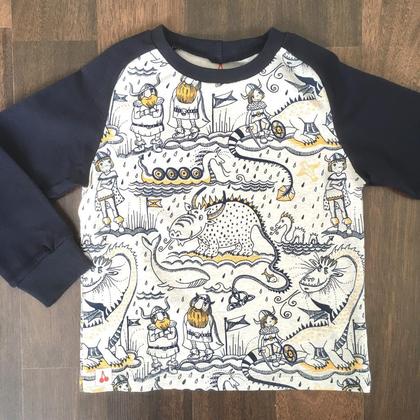 Bio-Pullover