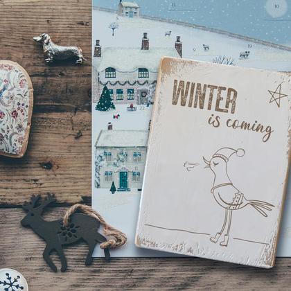 Holzschild "Winter is coming – bird"