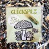"Glückspilz" GRÜMI inkl. Blühanleitung