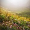 "Wander Woman" GRÜMI inkl. Blühanleitung - Image 2