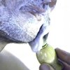 Rasier Seife - Image 2