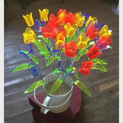 Tulpen