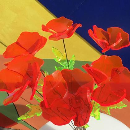 Mohnblumen