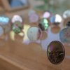 Ring Hase - Image 2