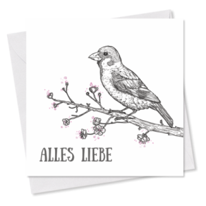 MINI-GRUSSKARTE *Alles Liebe* Spatz auf Zweig, 9×9 cm