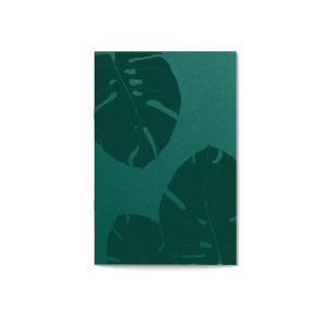 NOTIZHEFT *Monstera*, türkis, DIN A5