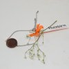 Holz Armband Armkette Zwetschke Trachtenschmuck 2 cm Holzschmuck Armschmuck