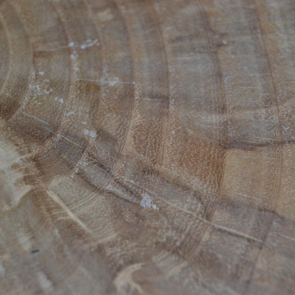 Holz Wanduhr 28x27 cm Holzuhr Uhr Hainbuche Baumscheibenuhr Unikat handmade - Image 3