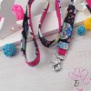 Hundehalsband mit Leine / Set - Image 3