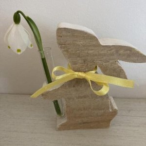Frühlingsgruß vom Hasen