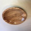 gestockte Buche
