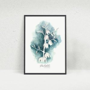Kunstdruck Palmlilie , botanische Malerei